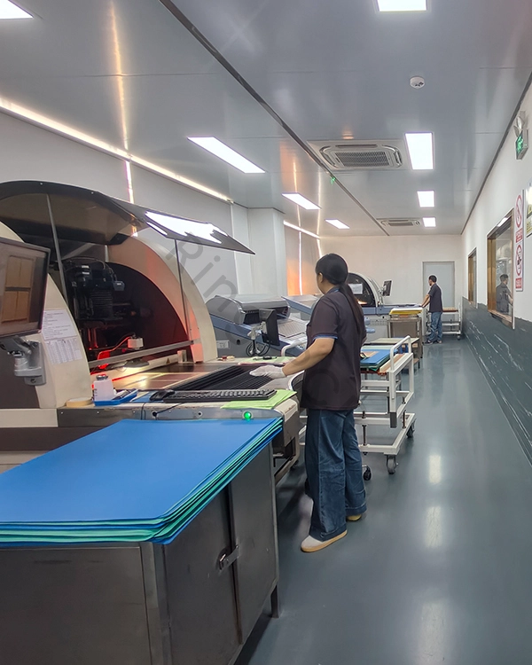 _20260131095213_2755_42 (2)